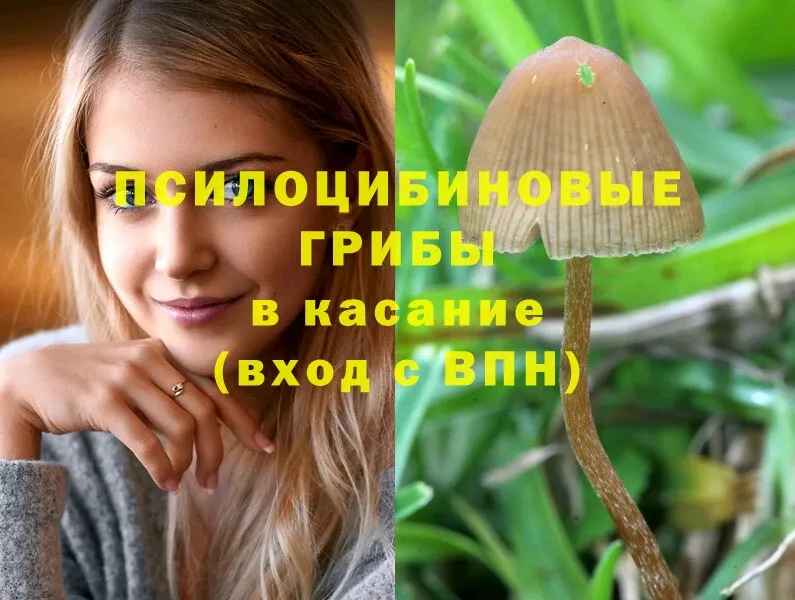 Галлюциногенные грибы MAGIC MUSHROOMS  наркошоп  MEGA как войти  Миньяр 